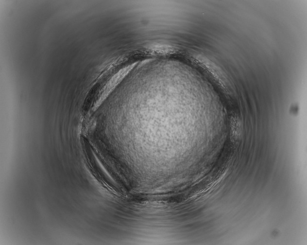 X0000097970451200804071103