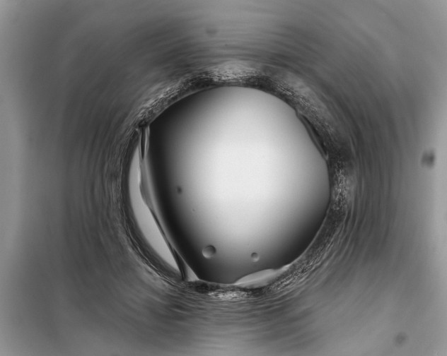 X0000097970452200804071103