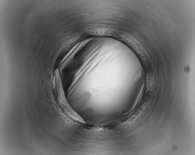 X0000097970453200804071103