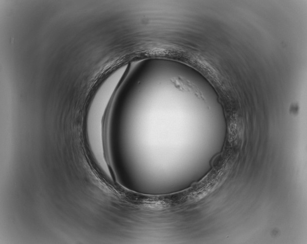 X0000097970454200804071103