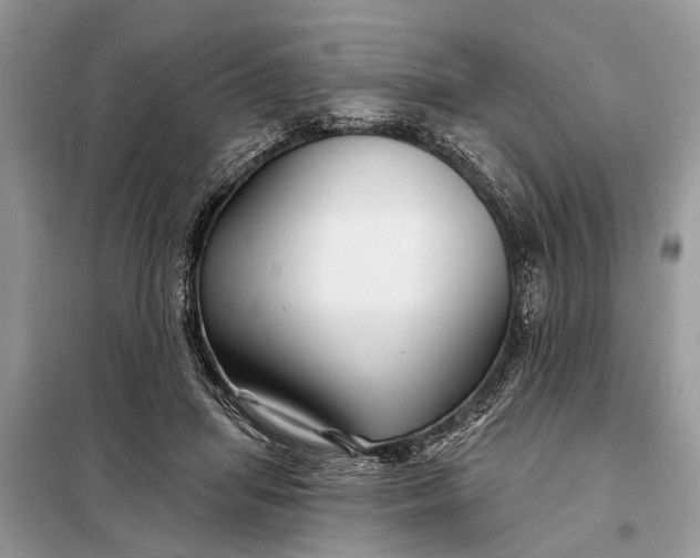 X0000097970455200804071103