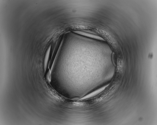 X0000097970457200804071103