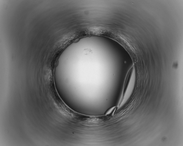 X0000097970459200804071103