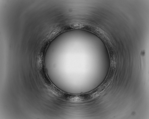 X0000097970460200804071103