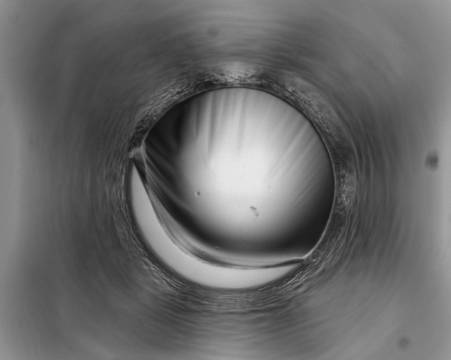 X0000097970461200804071103