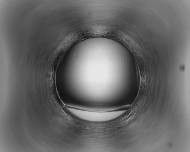 X0000097970462200804071103