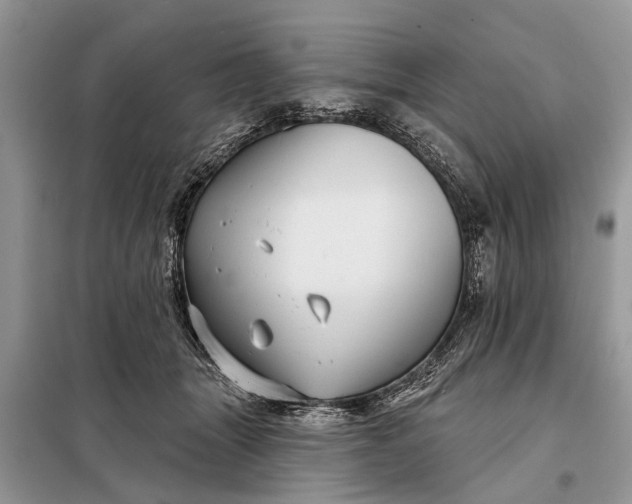 X0000097970463200804071103