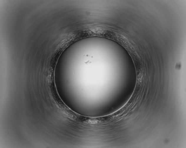 X0000097970464200804071103