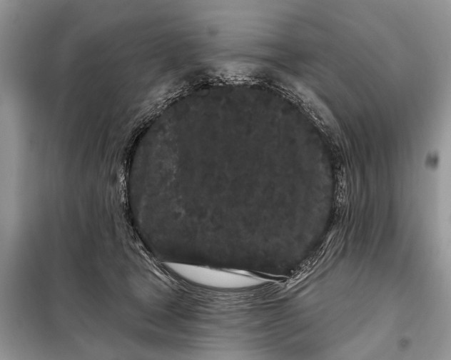 X0000097970465200804071103