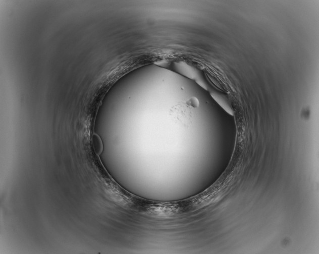 X0000097970466200804071103