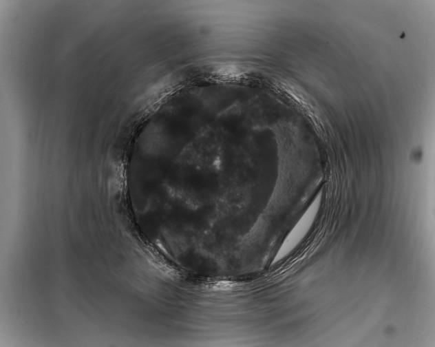 X0000097970467200804071103