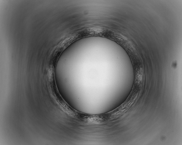 X0000097970468200804071103