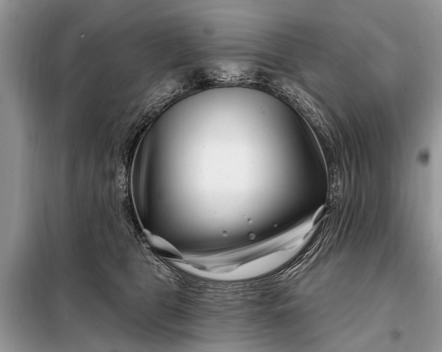 X0000097970469200804071103