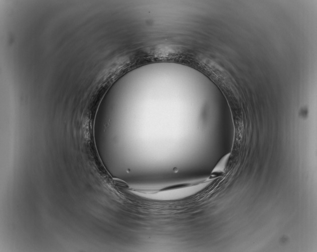 X0000097970470200804071103