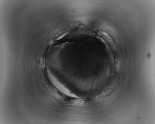 X0000097970471200804071103