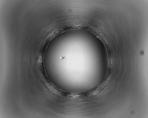 X0000097970472200804071103