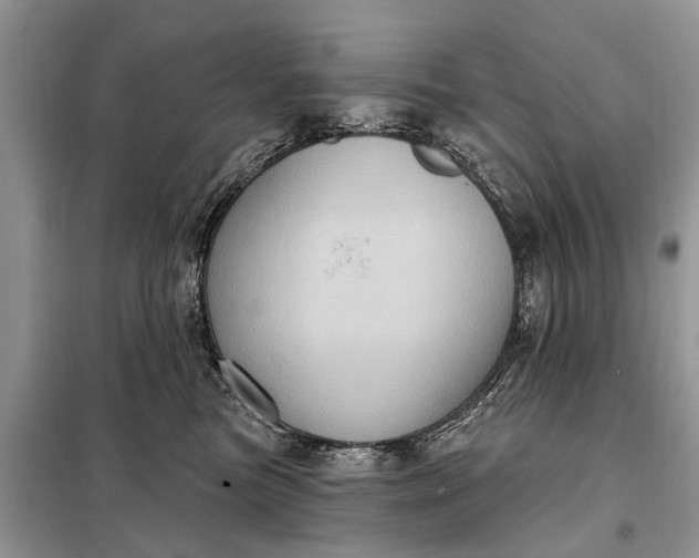 X0000097970473200804071103