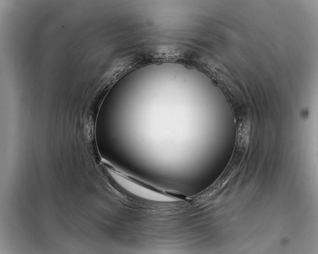 X0000097970474200804071103