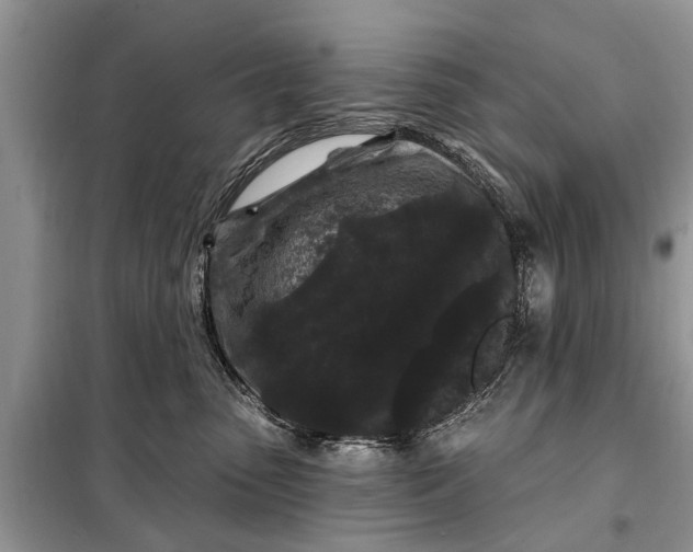 X0000097970475200804071103