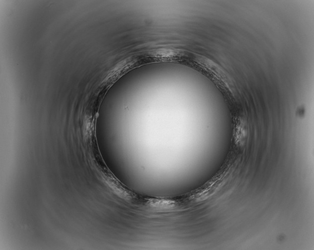 X0000097970476200804071103