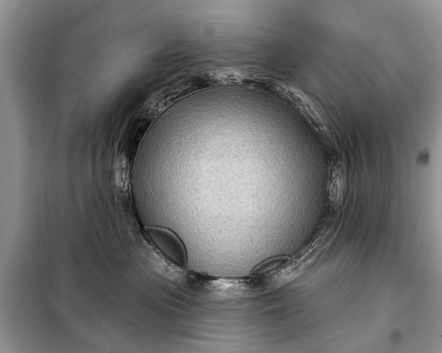 X0000097970477200804071103