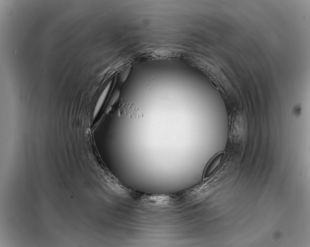 X0000097970478200804071103