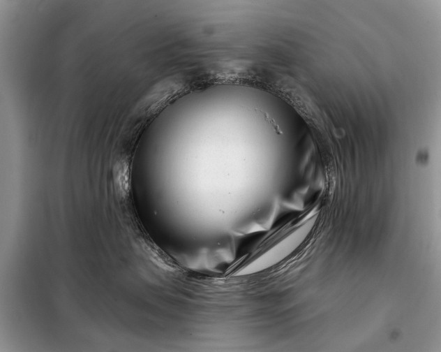 X0000097970479200804071103