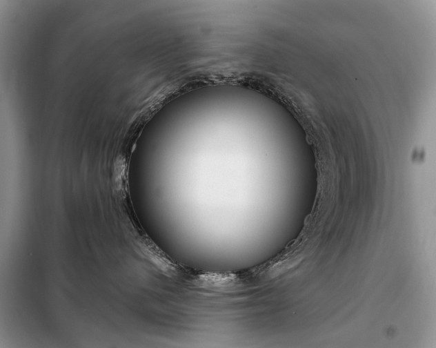 X0000097970480200804071103