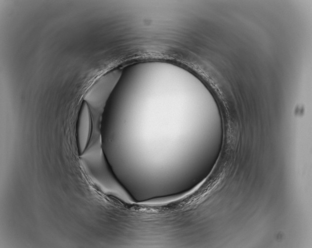 X0000097970481200804071102