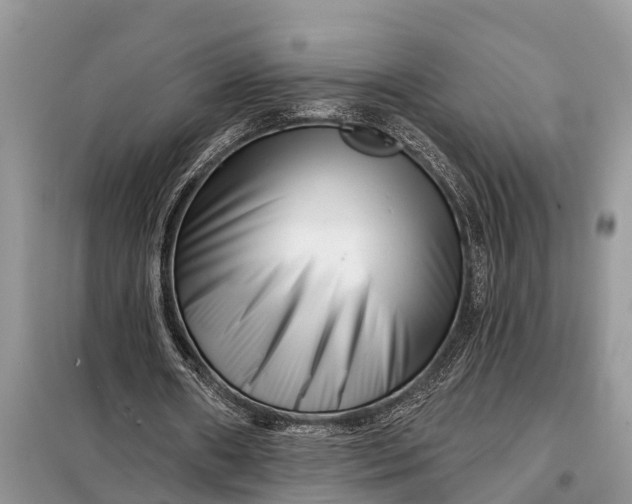 X0000097970482200804071102