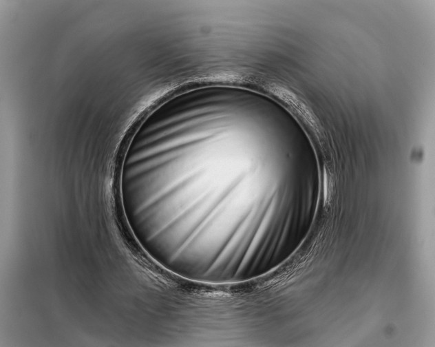 X0000097970483200804071102