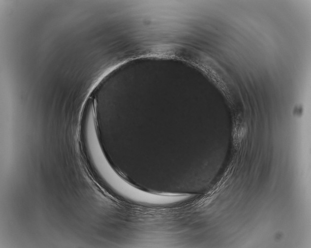 X0000097970484200804071102