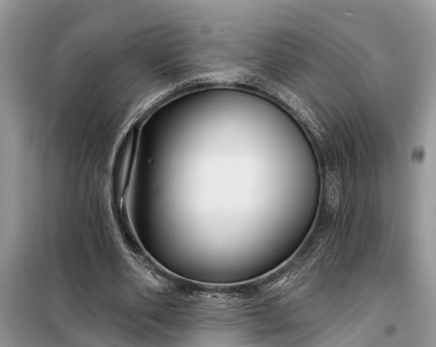 X0000097970486200804071102