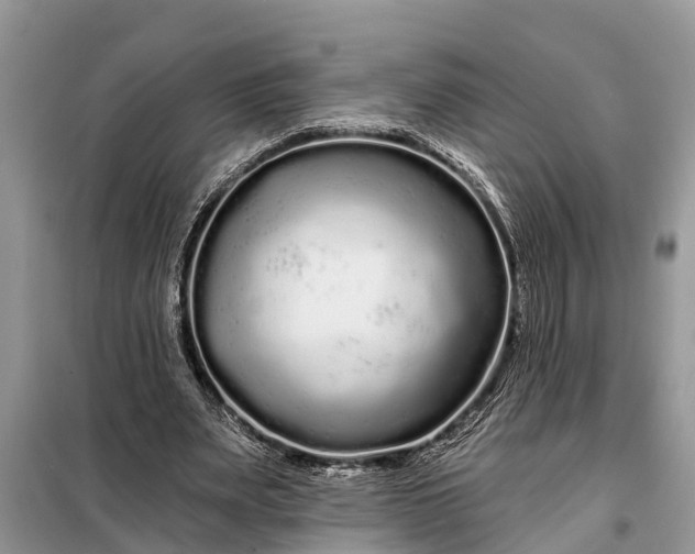 X0000097970487200804071102