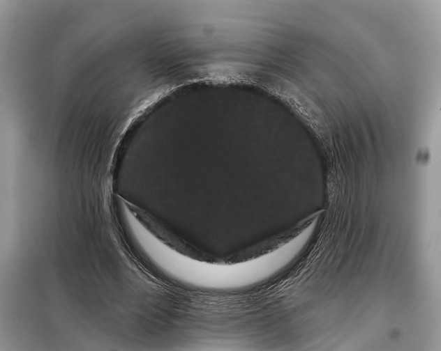 X0000097970488200804071102