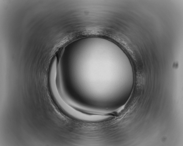 X0000097970489200804071102