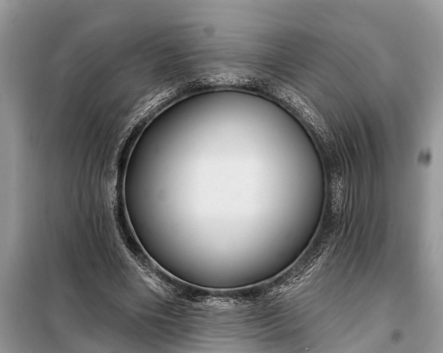 X0000097970490200804071102