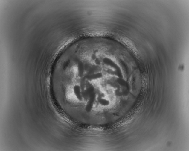 X0000097970491200804071102