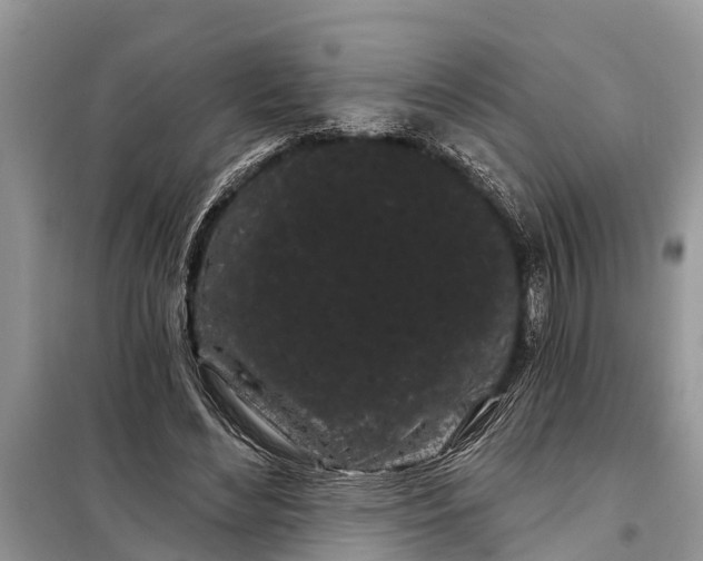 X0000097970492200804071102