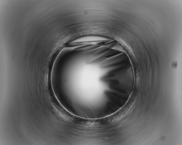 X0000097970493200804071102