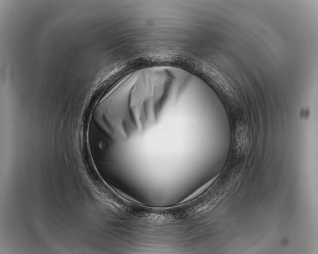 X0000097970494200804071102