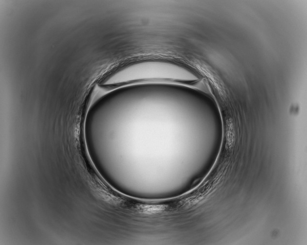 X0000097970495200804071102