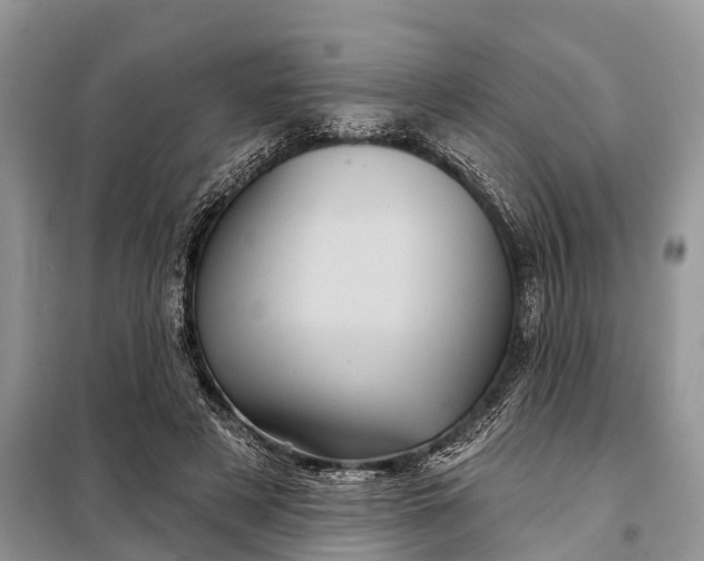 X0000097970497200804071102