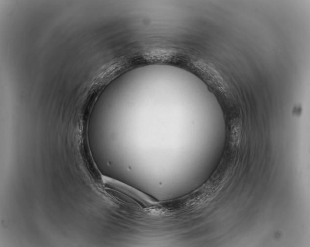 X0000097970498200804071102