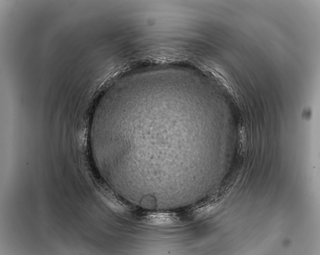 X0000097970499200804071102