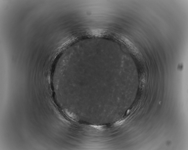 X0000097970500200804071102