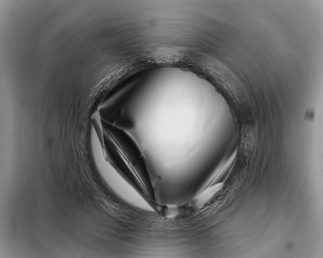 X0000097970501200804071102