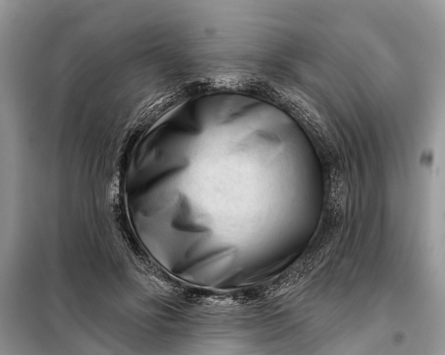 X0000097970502200804071102