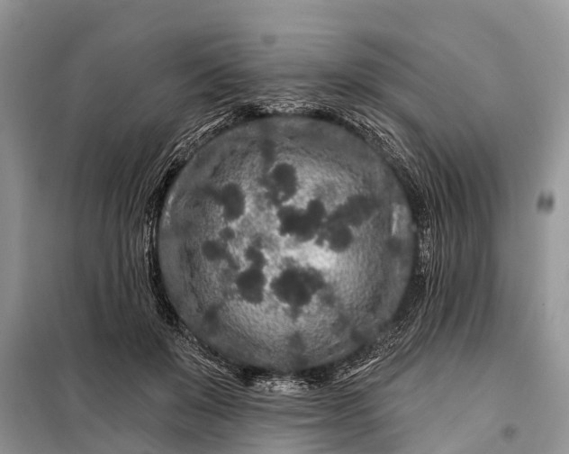 X0000097970503200804071102