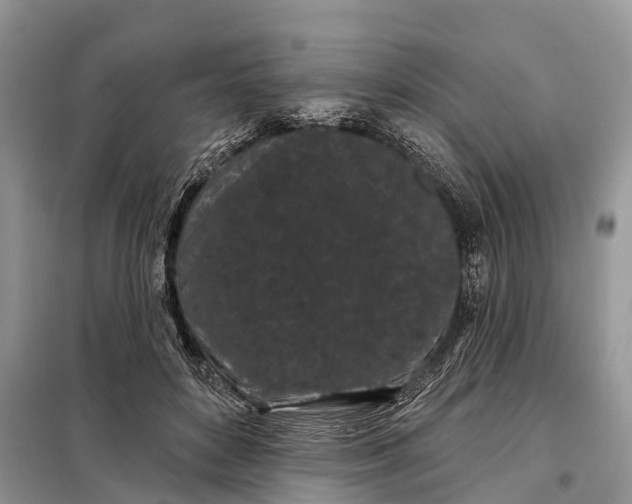 X0000097970504200804071102